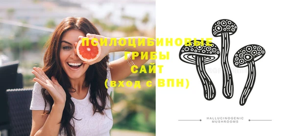 прущая мука Богданович