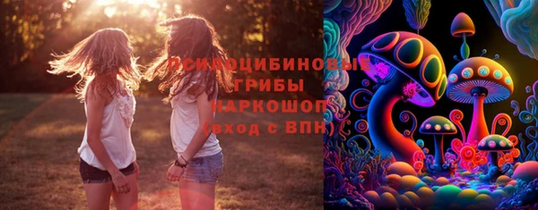 соль ск Бронницы