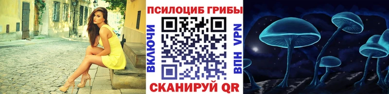 купить наркотик  Кондопога  Галлюциногенные грибы прущие грибы 